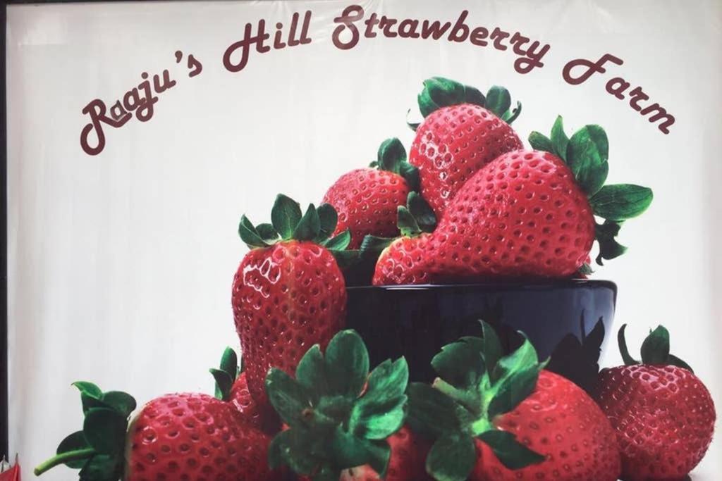 Lily Homestay Barrington Square Cameron Highlands. Brinchang Eksteriør bilde