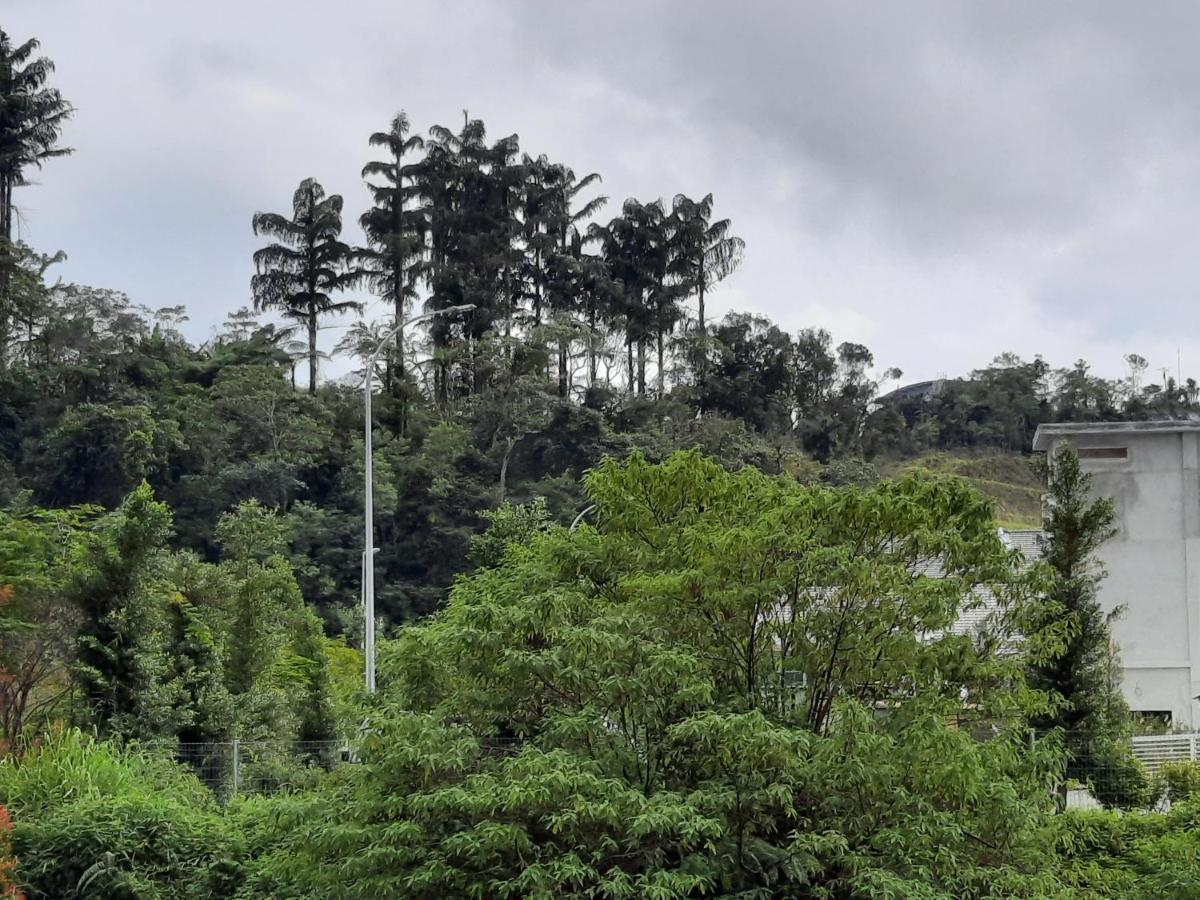 Lily Homestay Barrington Square Cameron Highlands. Brinchang Eksteriør bilde