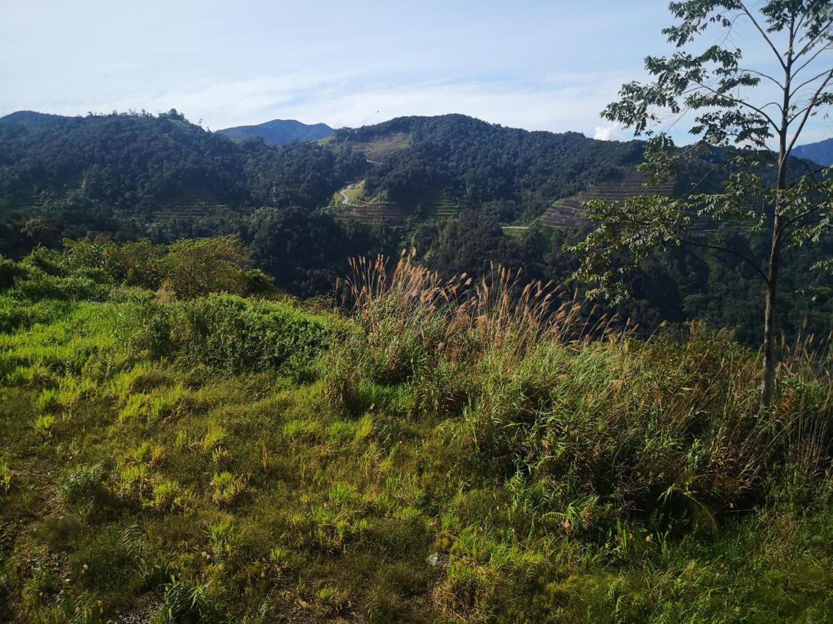 Lily Homestay Barrington Square Cameron Highlands. Brinchang Eksteriør bilde